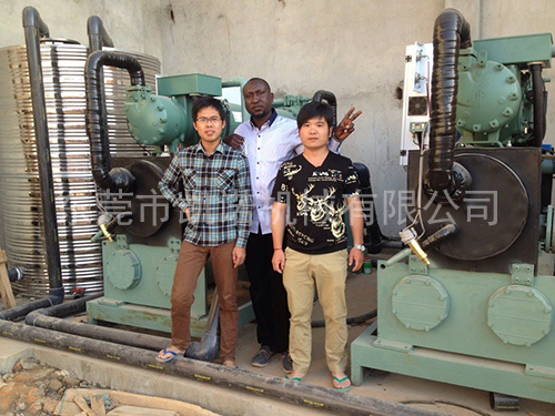 非洲水冷螺桿冷水機(jī)案例